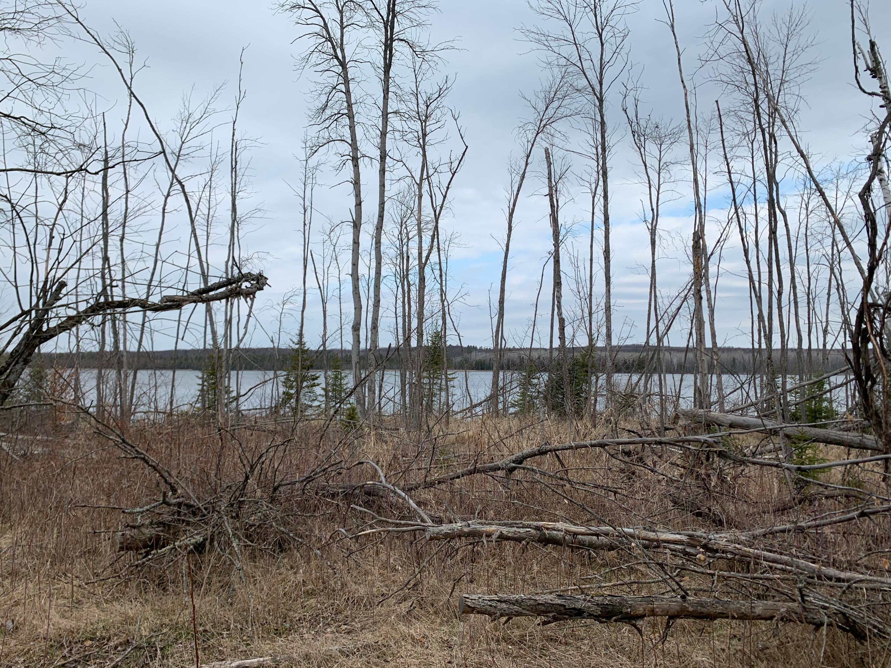 Floodwater Road Lachine, MI 49753 - Photo 6 of 12 Gallery Image 6