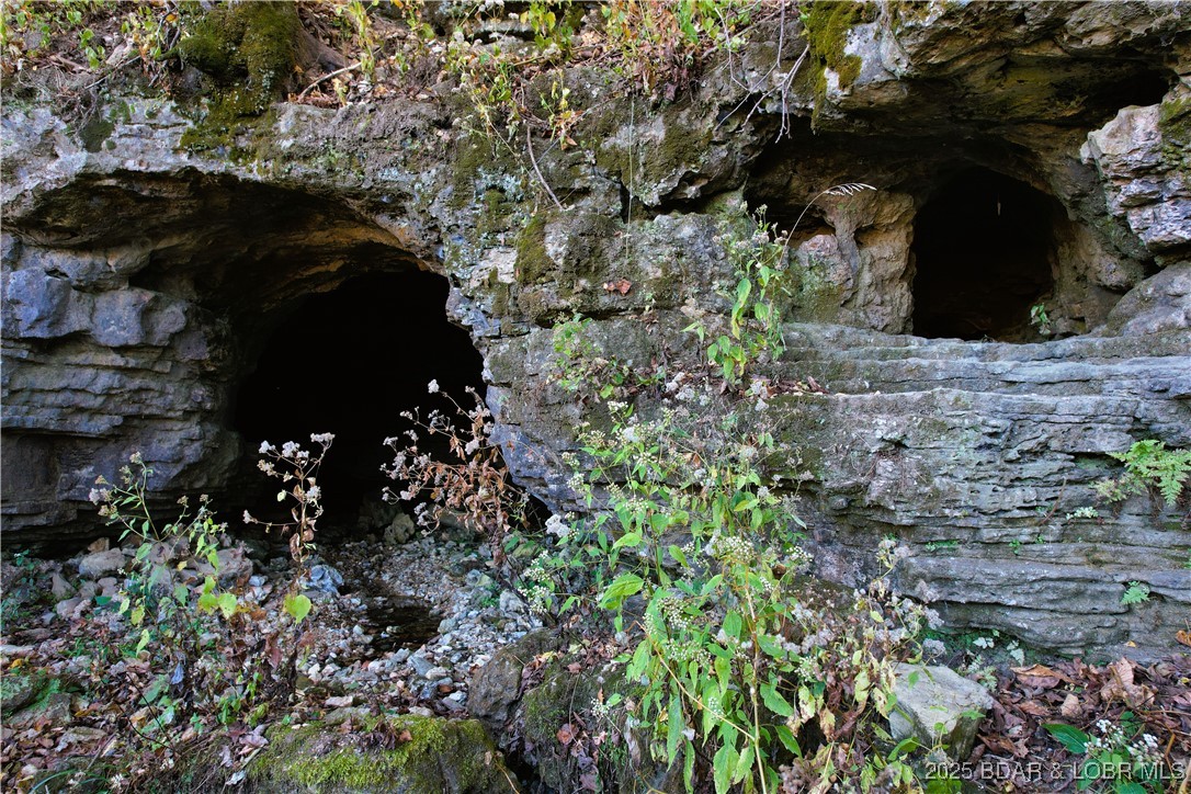 25455 Rail Road Richland, MO 65556 - Photo 26 of 66 Cave entrance