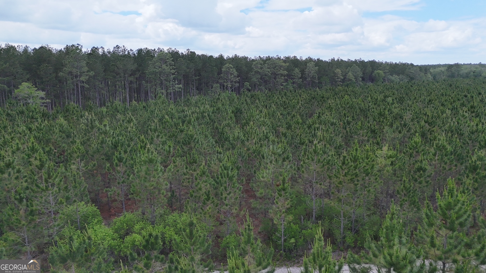17-ac Owens Road Odum, GA 31555 - Photo 4 of 4