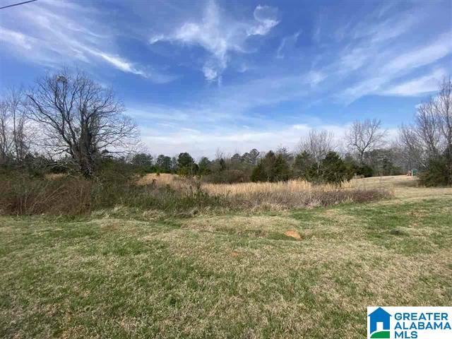 High Pointe Drive Warrior, AL 35180 - Photo 1 of 2