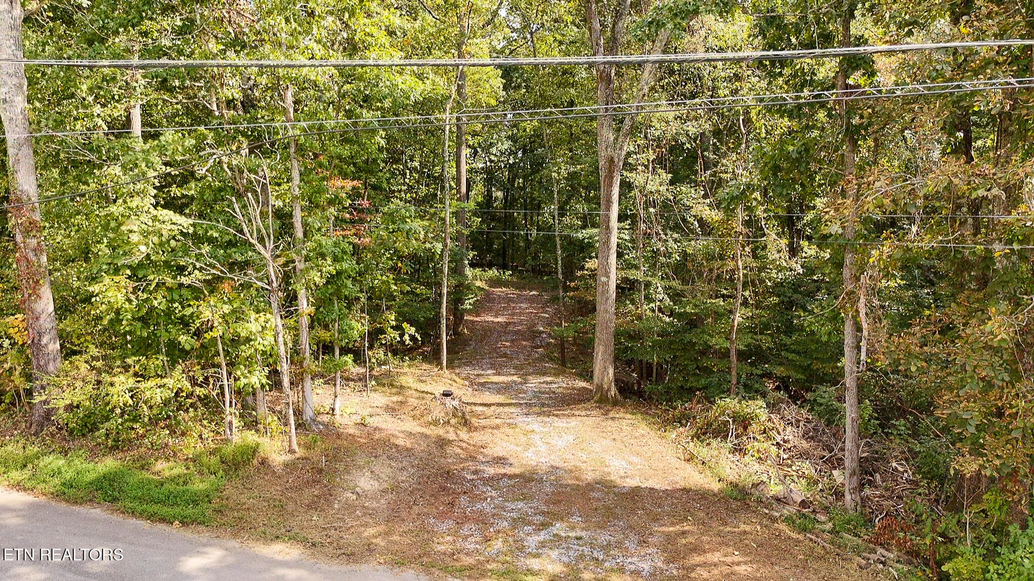 J Mell Johnson Road Greeneville, TN 37745 - Photo 1 of 7 Property-5
