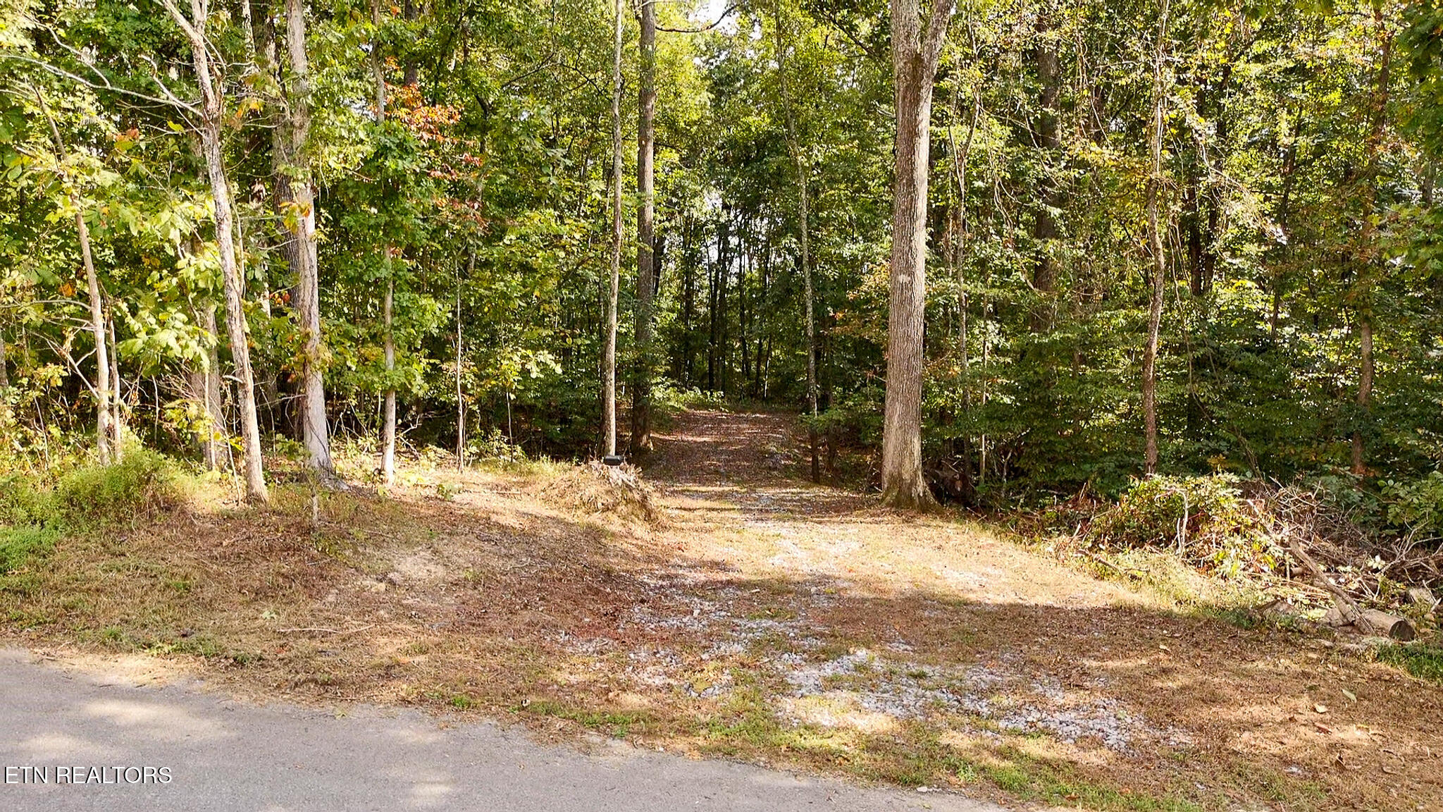 J Mell Johnson Road Greeneville, TN 37745 - Photo 6 of 7 Property-7