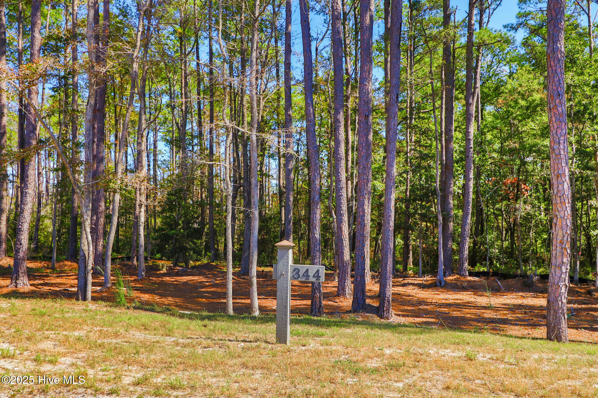 514 Freedom Park Road Beaufort, NC 28516 - Photo 3 of 20 514 Freedom Park Rd