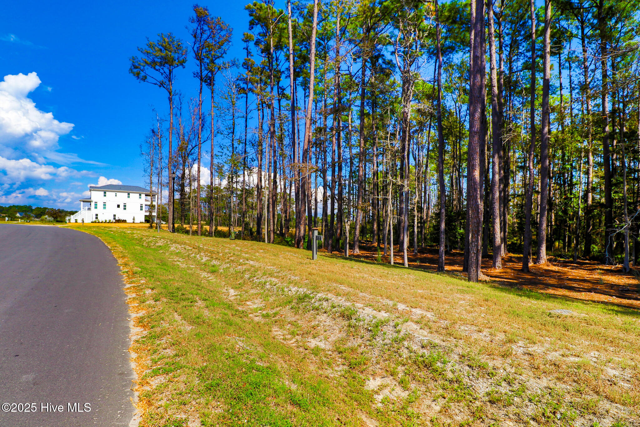 514 Freedom Park Road Beaufort, NC 28516 - Photo 4 of 20 514 Freedom Park Rd