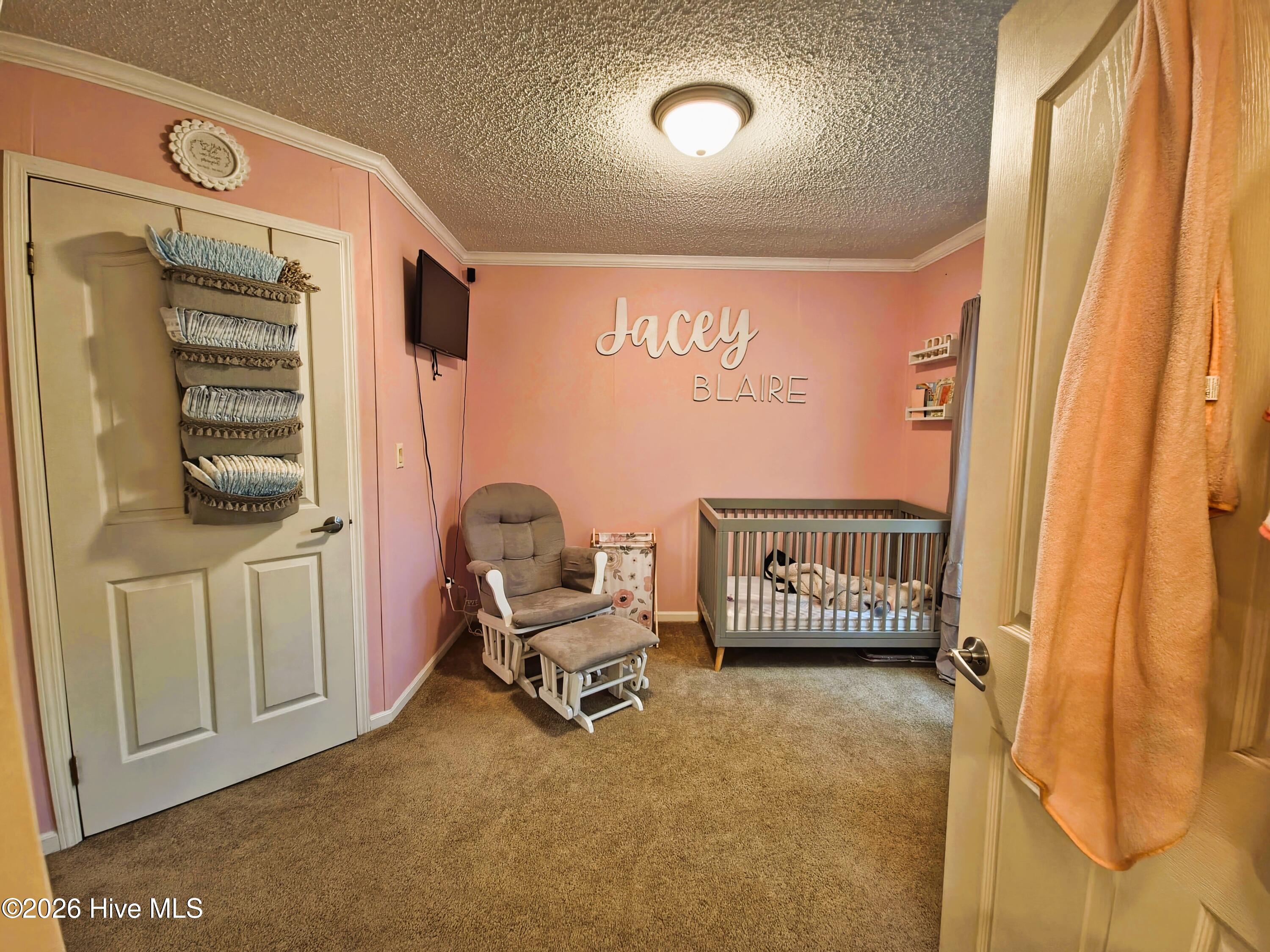 3525 Daughety White Road Kinston, NC 28501 - Photo 18 of 31 Bedroom 2 with Large Closet