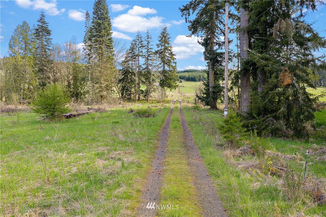 0 Ploegman Road Chehalis, WA 98532 - Photo 14 of 25 a view of an outdoor space and a yard