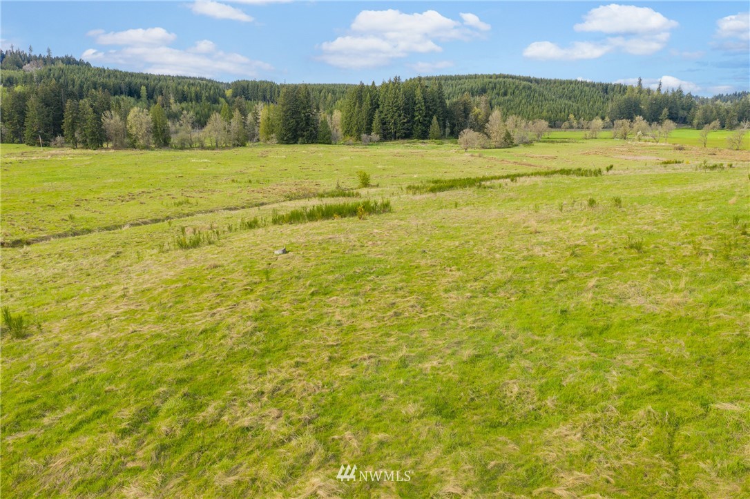 0 Ploegman Road Chehalis, WA 98532 - Photo 20 of 25 a view of lake view
