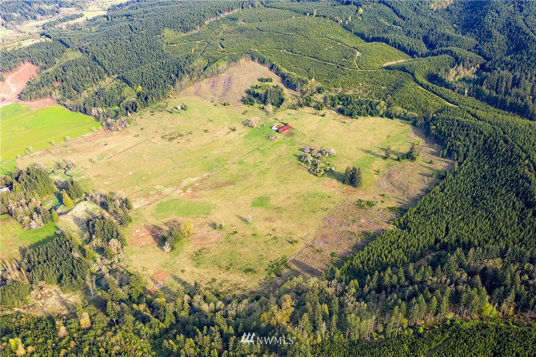 0 Ploegman Road Chehalis, WA 98532 - Photo 8 of 25 a view of a yard