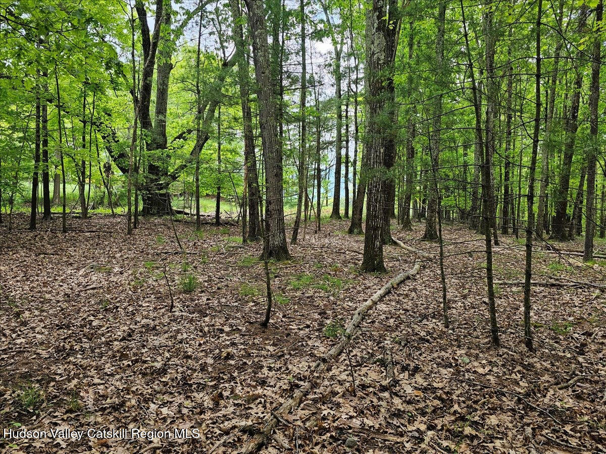 305 Maple Lawn Road Cairo, NY 12473 - Photo 3 of 14 unnamed3