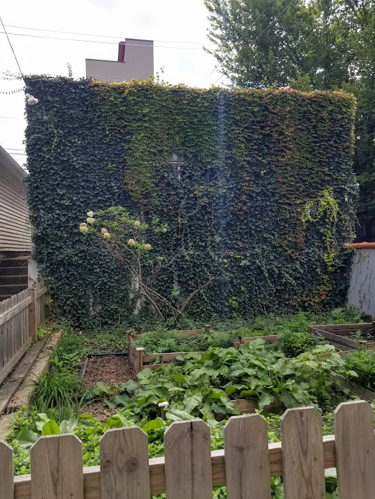 2109 West 18th Street, Unit 1F Chicago, IL 60608 - Photo 8 of 8