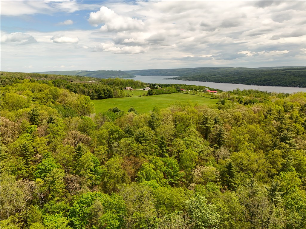 0 Middle Road Hammondsport, NY 14840 - Photo 13 of 20