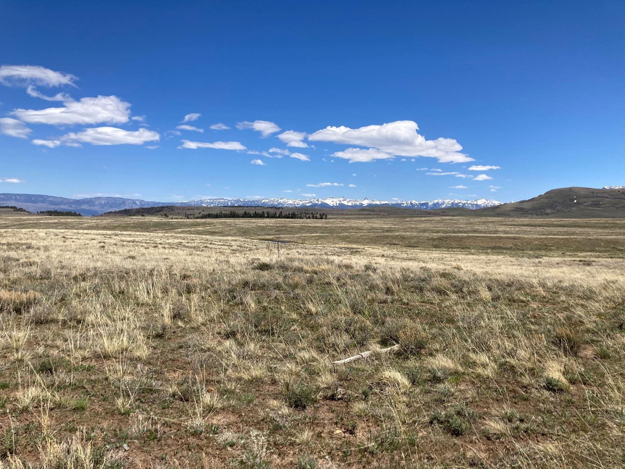 11 County Road Ridgway, CO 81432 - Photo 3 of 10 Gallery Image 3