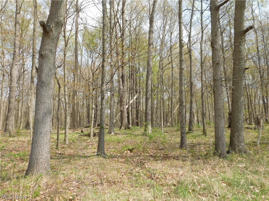 Cullison Road Utica, OH 43080 - Photo 10 of 22