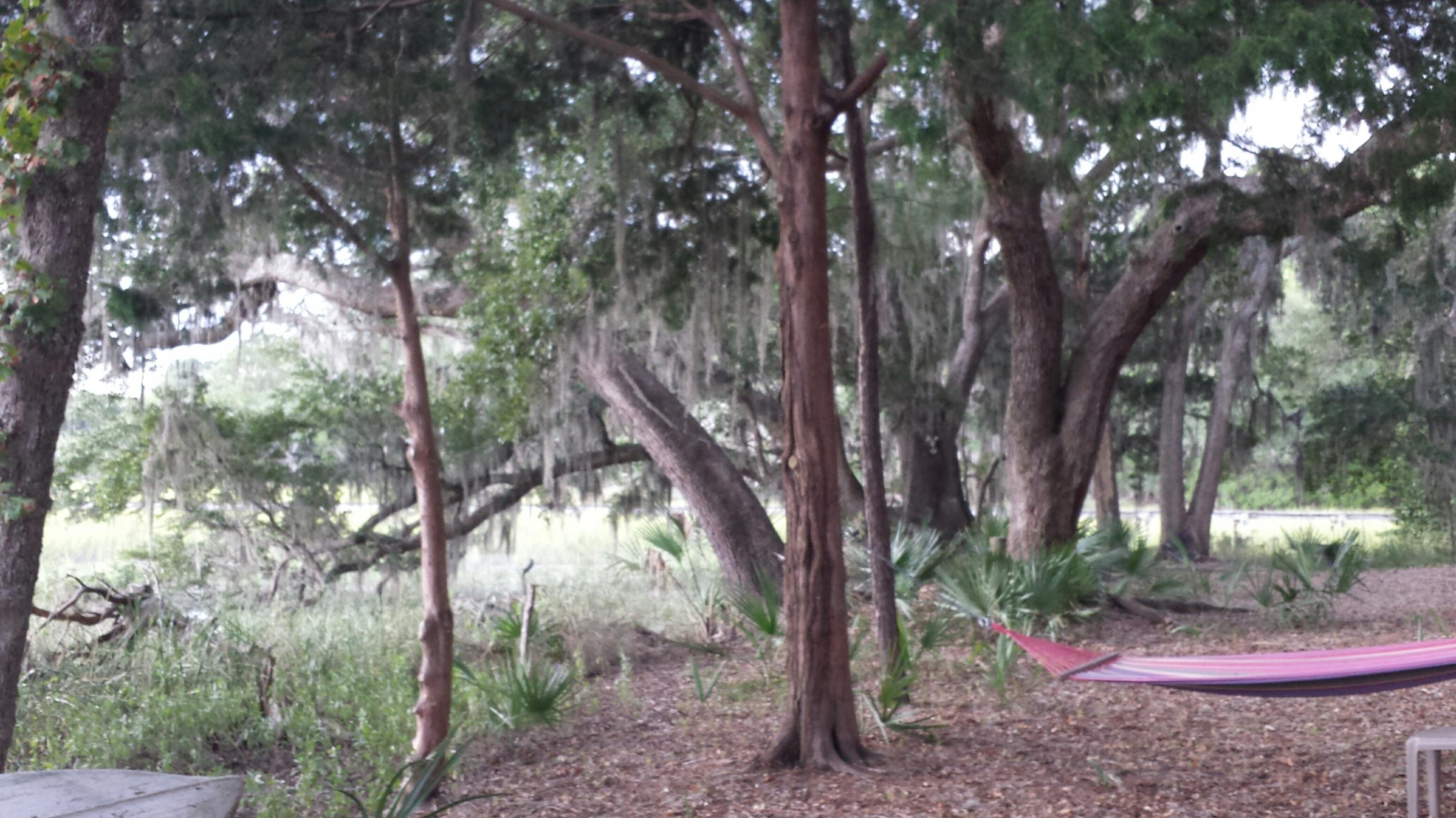4425 Lord Proprietors Road Meggett, SC 29449 - Photo 14 of 22 oak lined in rear on marsh
