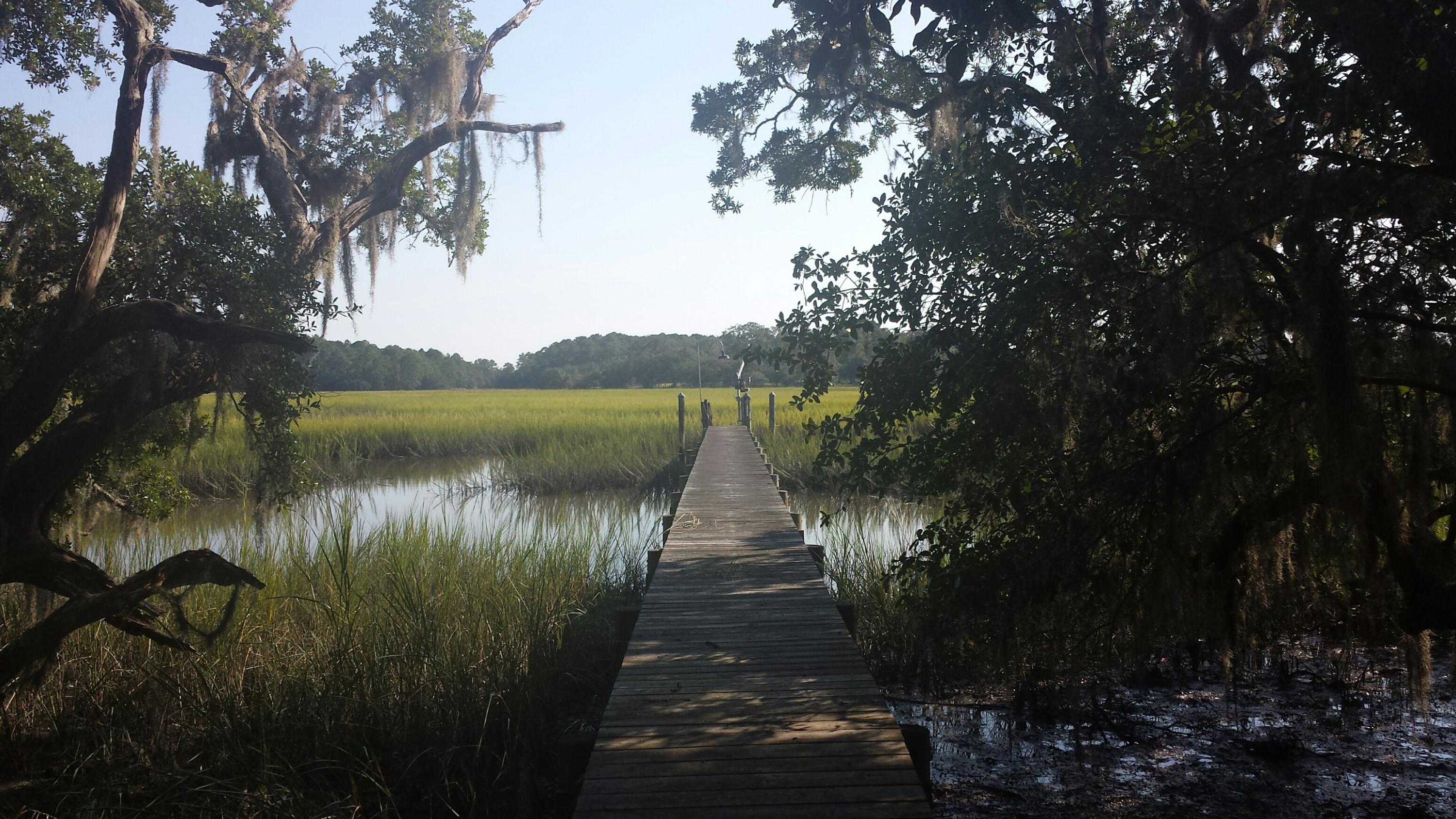 4425 Lord Proprietors Road Meggett, SC 29449 - Photo 15 of 22 Private dock