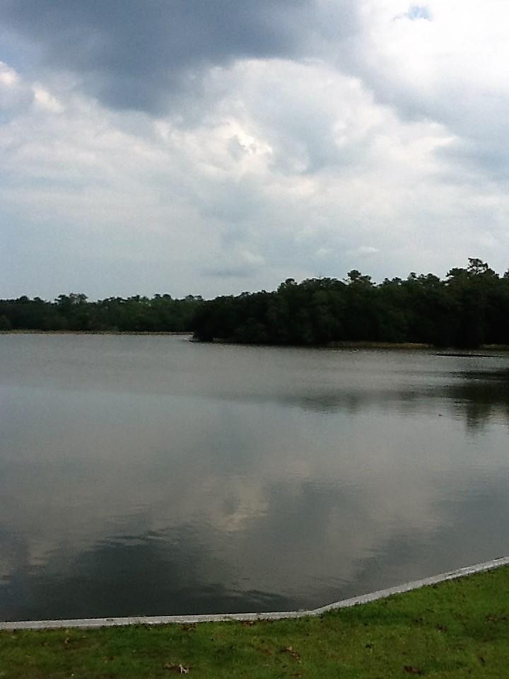 4425 Lord Proprietors Road Meggett, SC 29449 - Photo 18 of 22 Flounder Lake