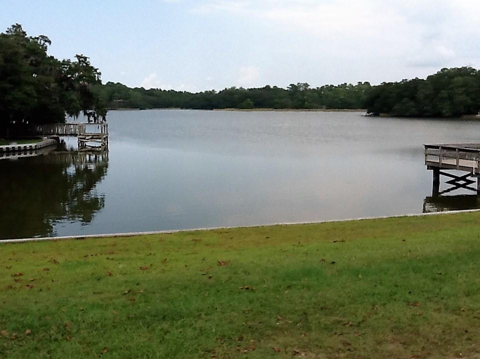 4425 Lord Proprietors Road Meggett, SC 29449 - Photo 19 of 22 Flounder Lake