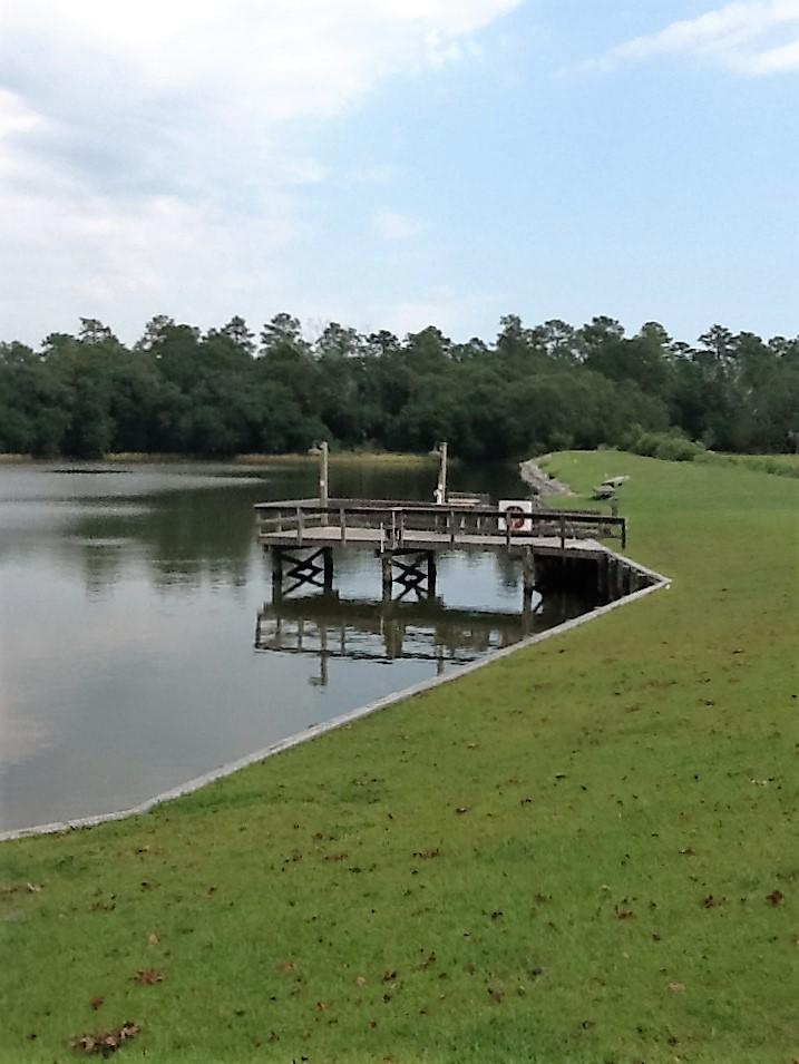 4425 Lord Proprietors Road Meggett, SC 29449 - Photo 20 of 22 community dock on Flounder Lake