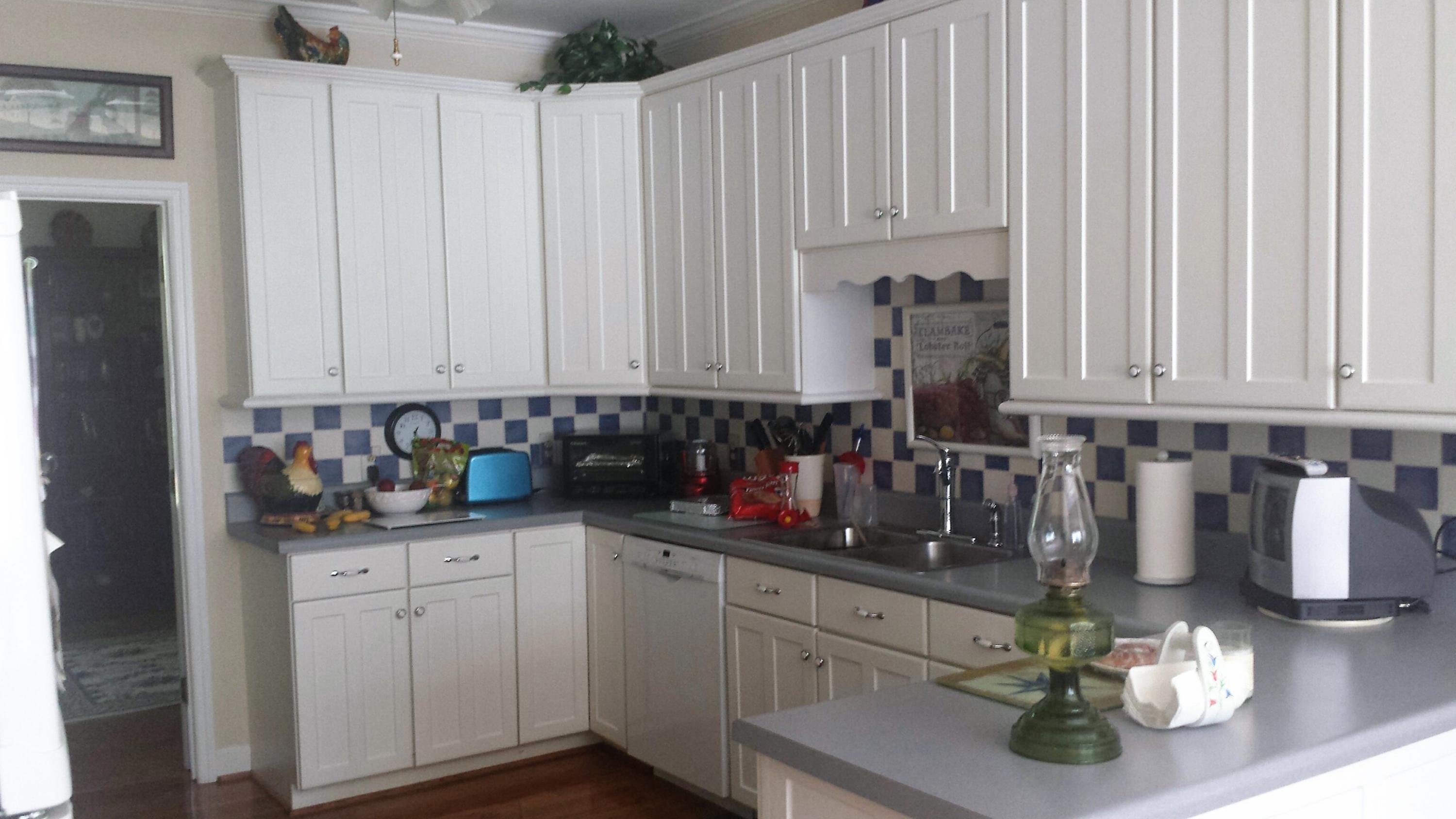 4425 Lord Proprietors Road Meggett, SC 29449 - Photo 5 of 22 Kitchen