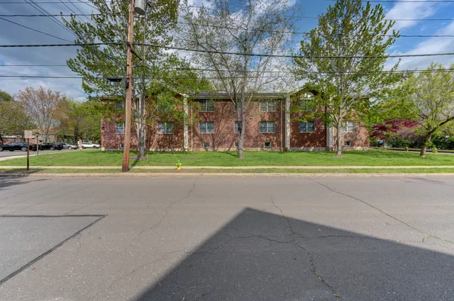 a view of a playground with a large tree