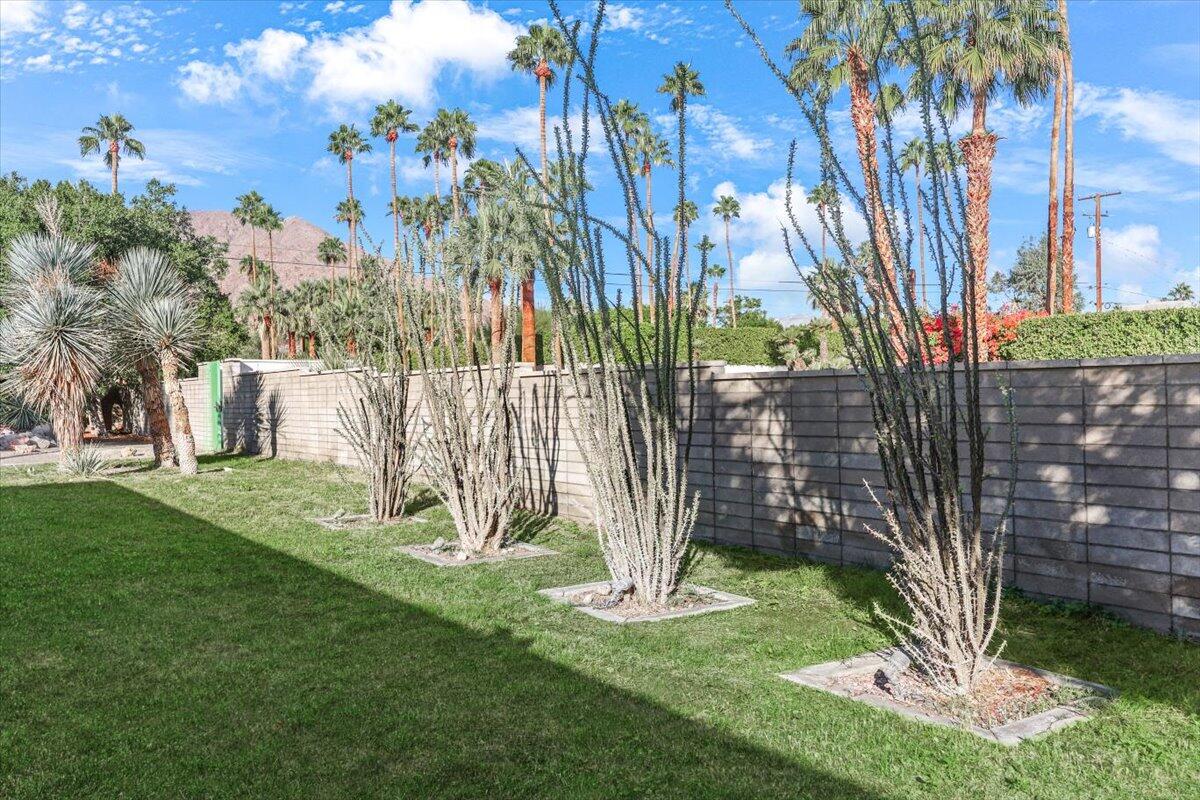447 West Mariscal Road Palm Springs, CA 92262 - Photo 8 of 22 a garden with tall trees