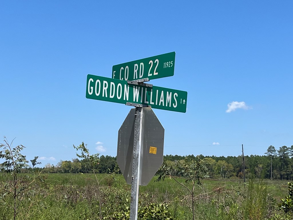 22 Rd Columbia Al Abbeville, AL 36310 - Photo 2 of 4