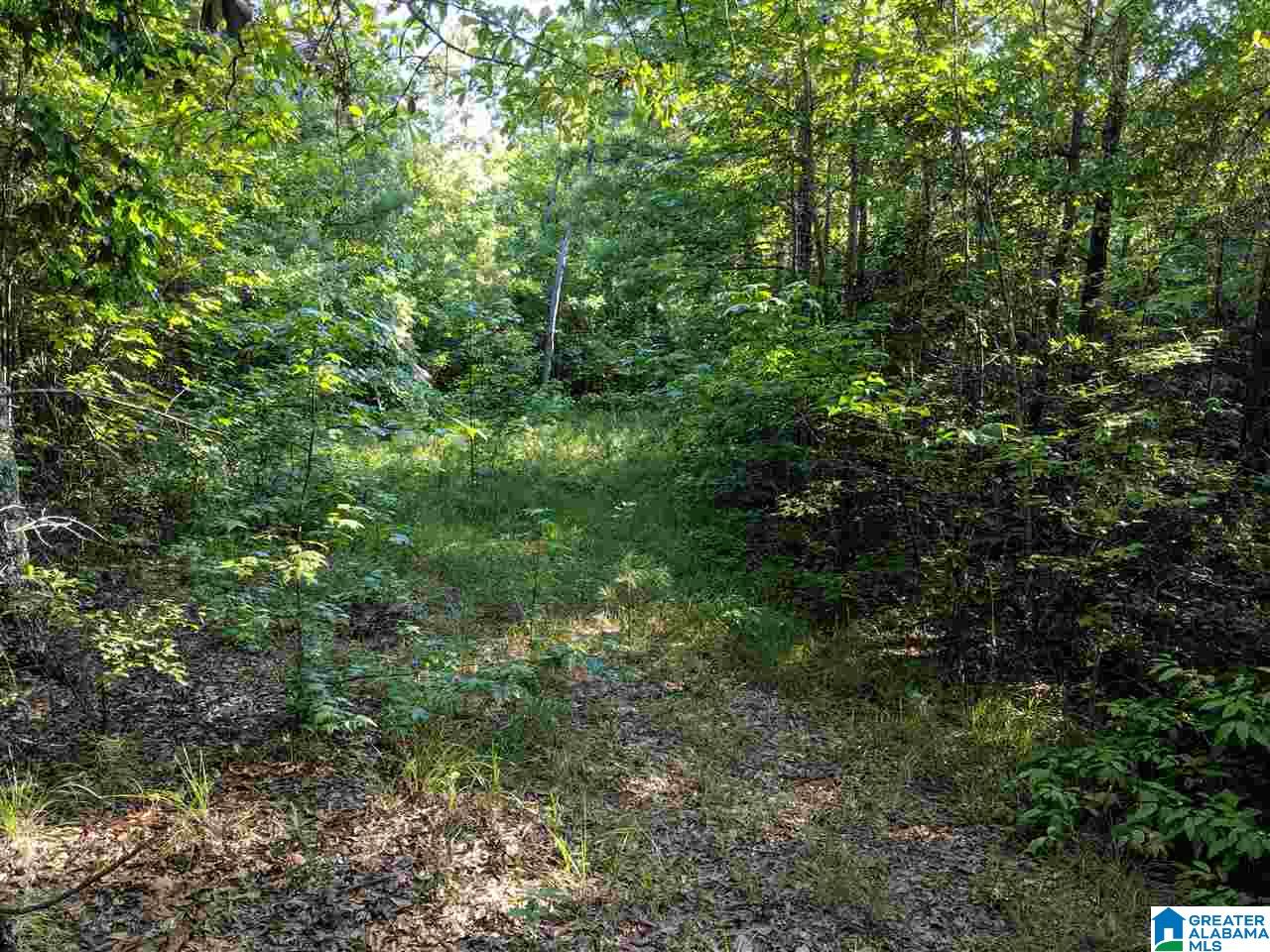 0 County Road 26 Wadley, AL 36276 - Photo 14 of 17