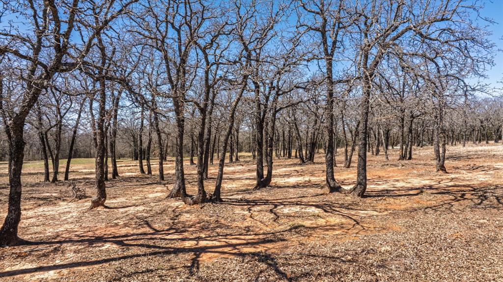 1918 Coleman Ranch Road Tolar, TX 76476 - Photo 10 of 12 a view of road and trees