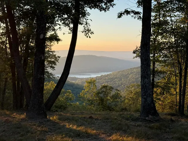 $1,350,000 | Lot 1070 Birds Eye Way, Guild, TN 37340