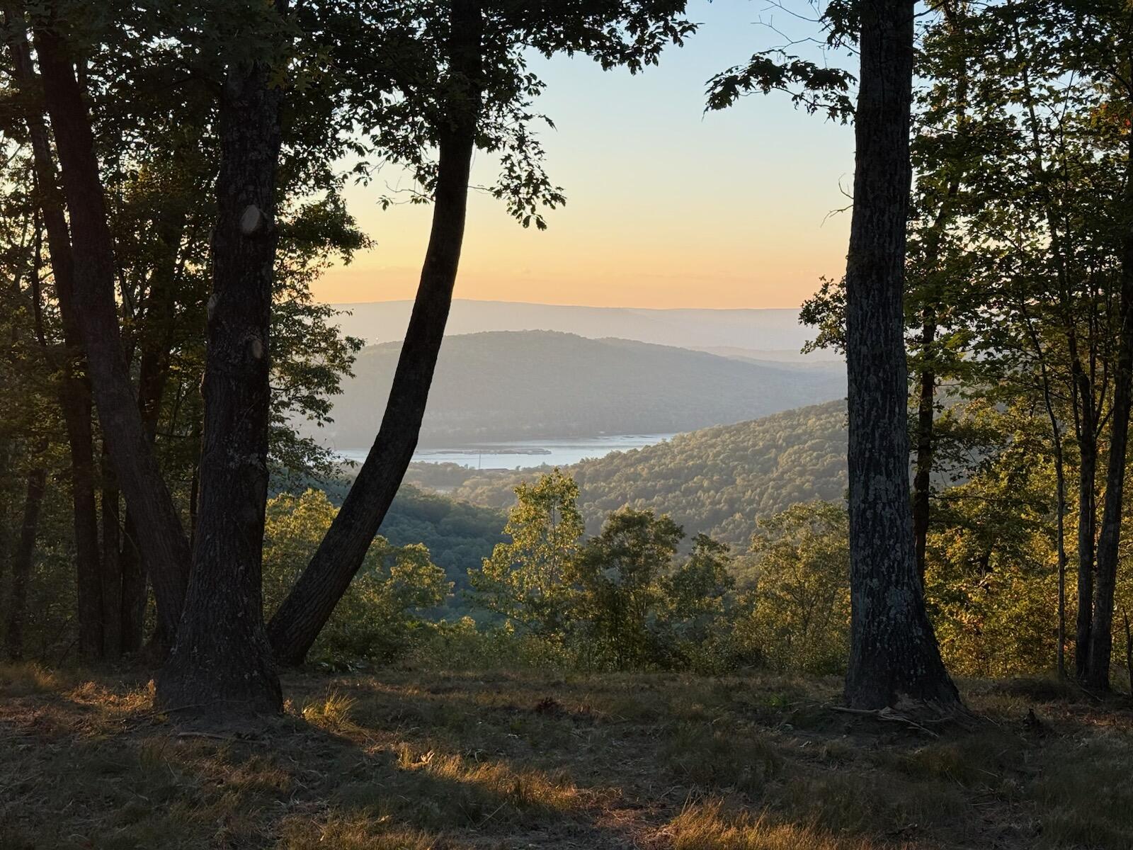 Lot 1070 Birds Eye Way Guild, TN 37340 - Photo 1 of 14 Spectacular View yet Precious Privacy