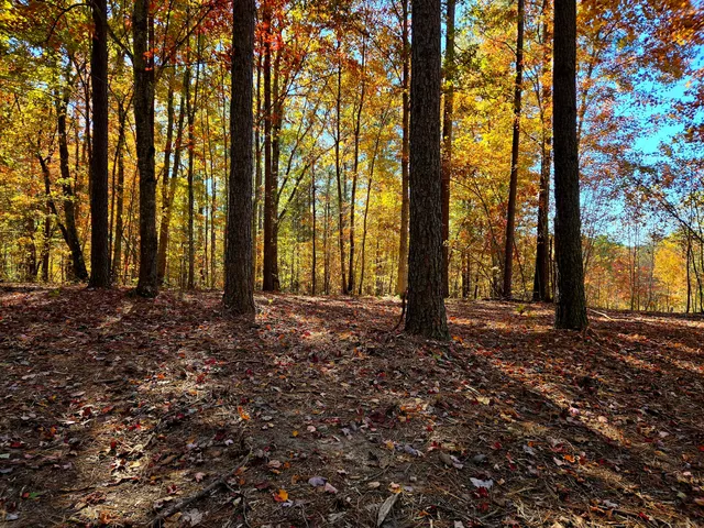 $1,350,000 | Lot 1070 Birds Eye Way, Guild, TN 37340