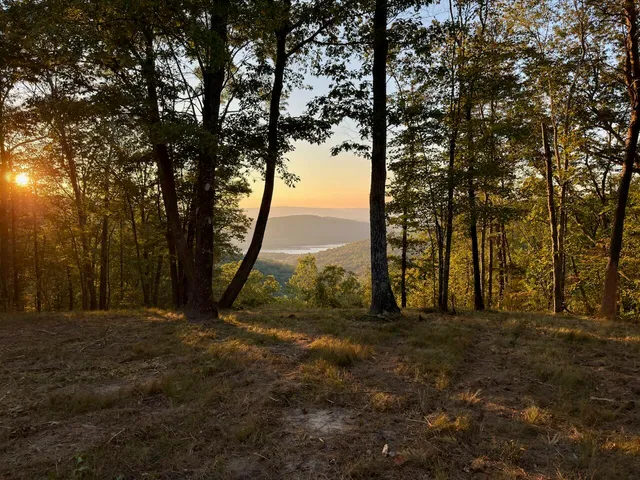 $1,350,000 | Lot 1070 Birds Eye Way, Guild, TN 37340