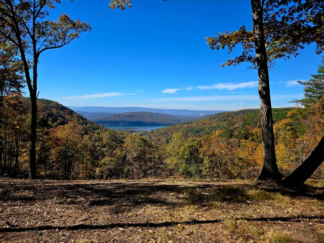 $1,350,000 | Lot 1070 Birds Eye Way, Guild, TN 37340