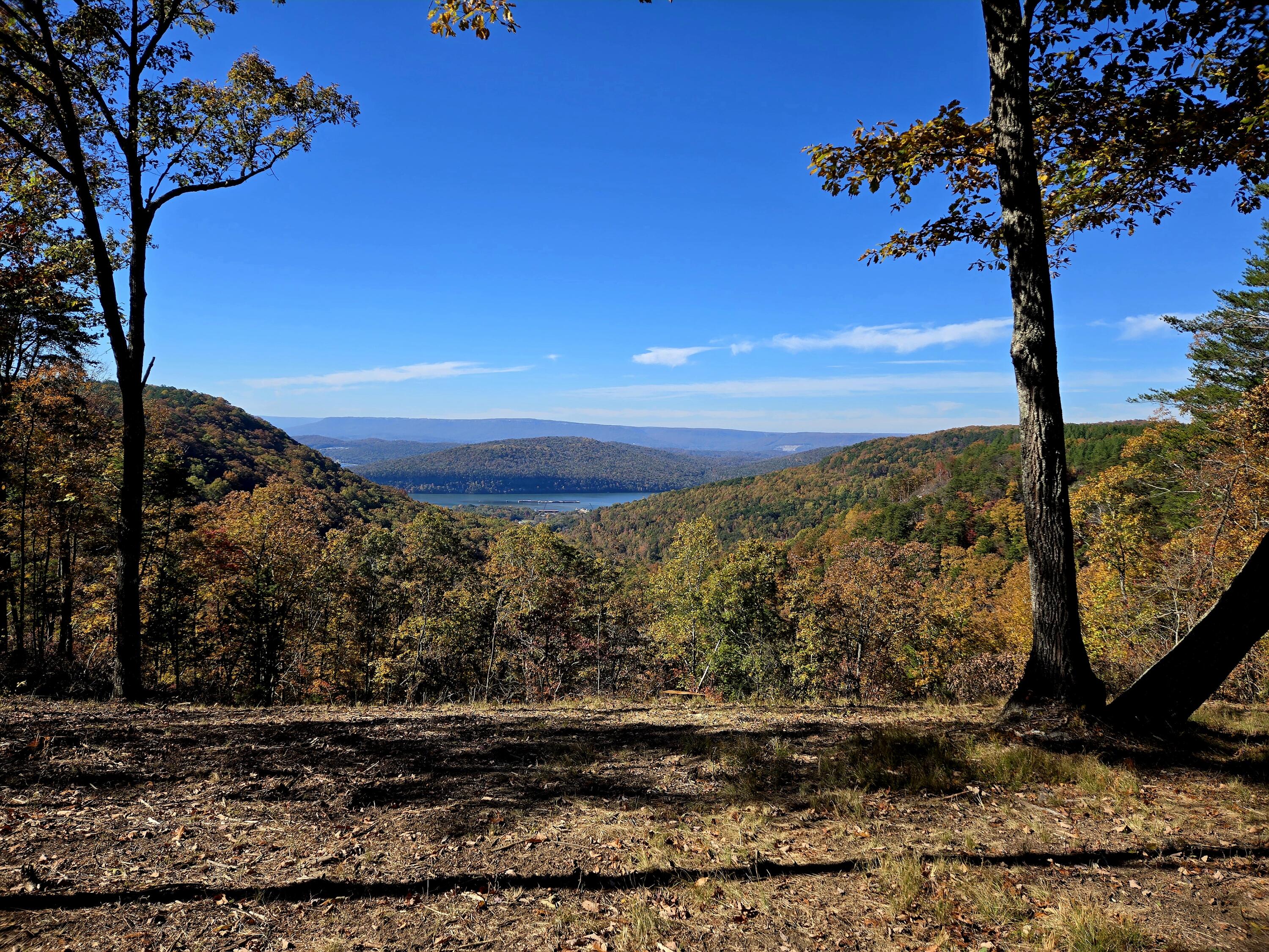 Lot 1070 Birds Eye Way Guild, TN 37340 - Photo 4 of 14 Building Site View