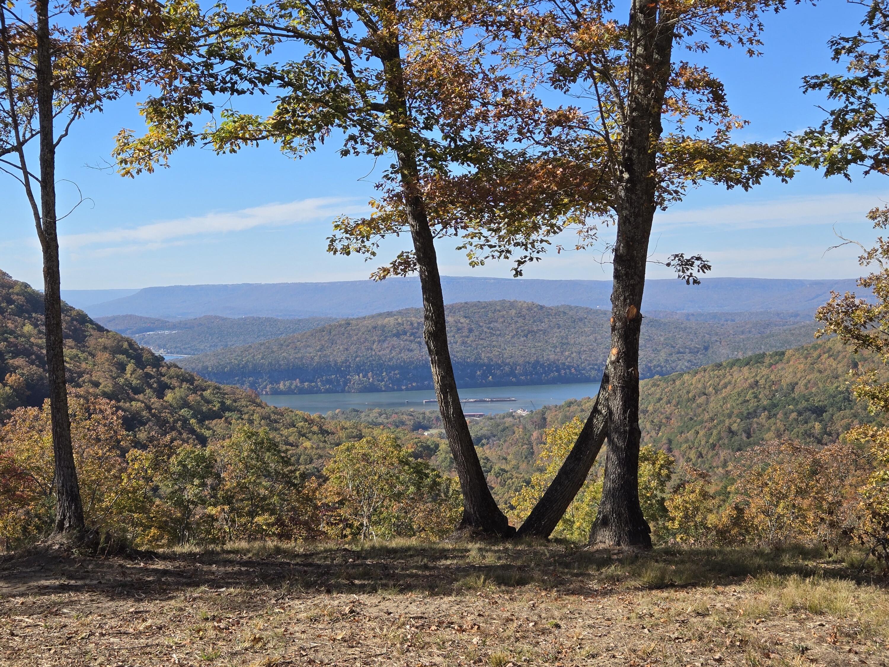 Lot 1070 Birds Eye Way Guild, TN 37340 - Photo 5 of 14 Building Site View