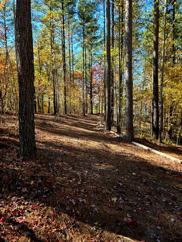$1,350,000 | Lot 1070 Birds Eye Way, Guild, TN 37340