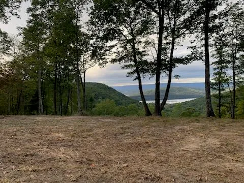 $1,350,000 | Lot 1070 Birds Eye Way, Guild, TN 37340