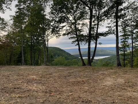 Lot 1070 Birds Eye Way Guild, TN 37340 - Photo 7 of 14 Birds Eye Way 22