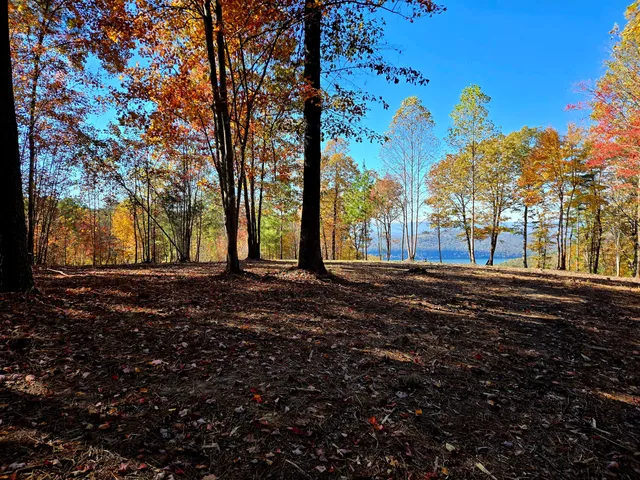 $1,350,000 | Lot 1070 Birds Eye Way, Guild, TN 37340