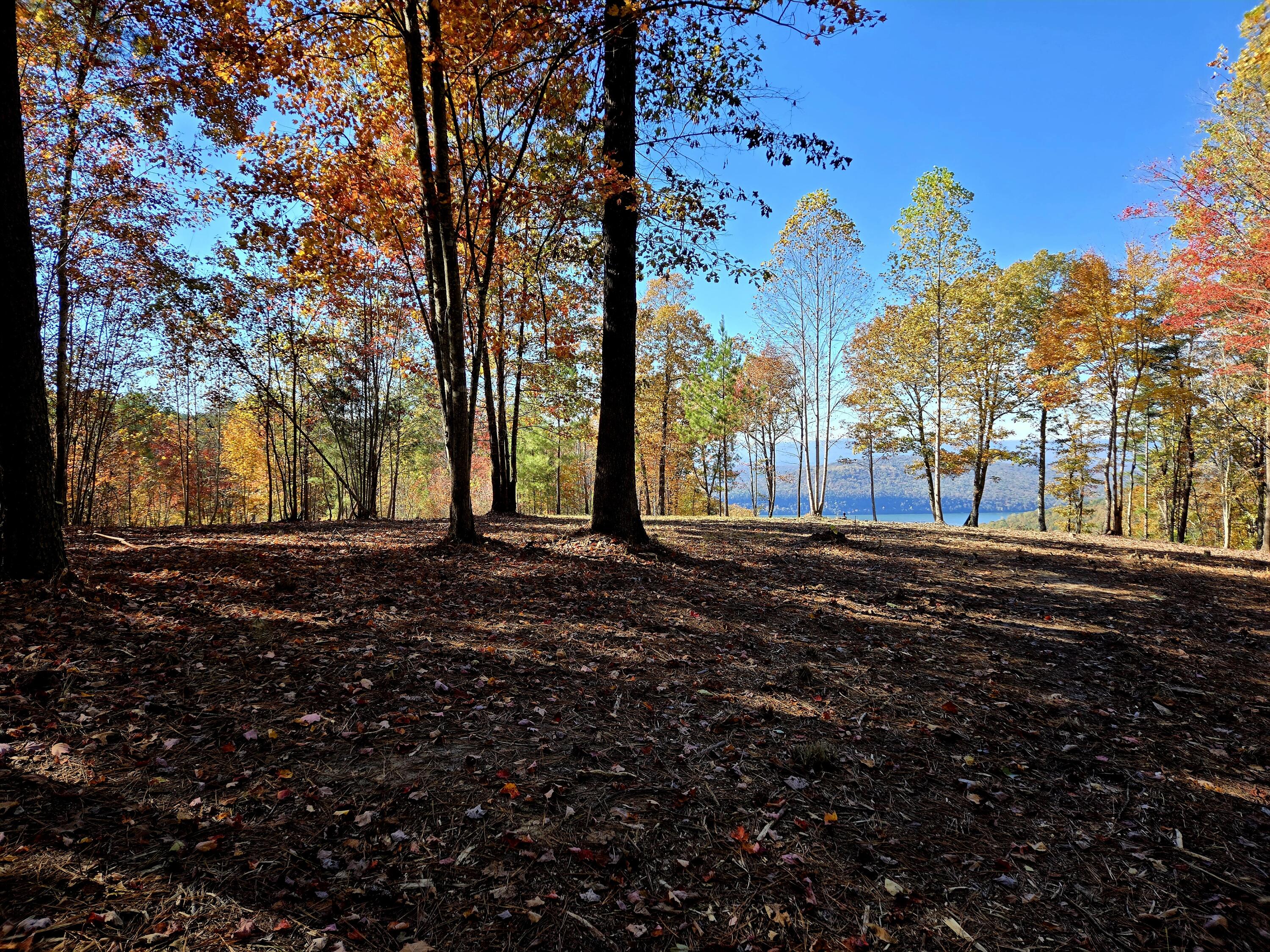 Lot 1070 Birds Eye Way Guild, TN 37340 - Photo 8 of 14 Approach to Building Site