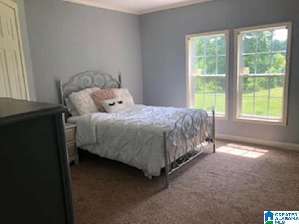 275 Manning Road Pell City, AL 35125 - Photo 12 of 38
