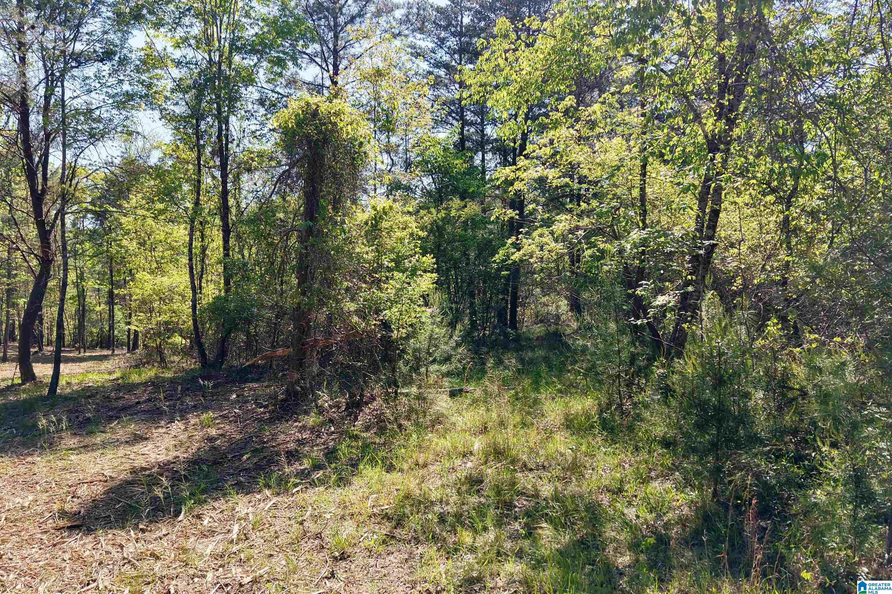 246 Spring Water Farms, Unit 2 Helena, AL 35022 - Photo 9 of 25