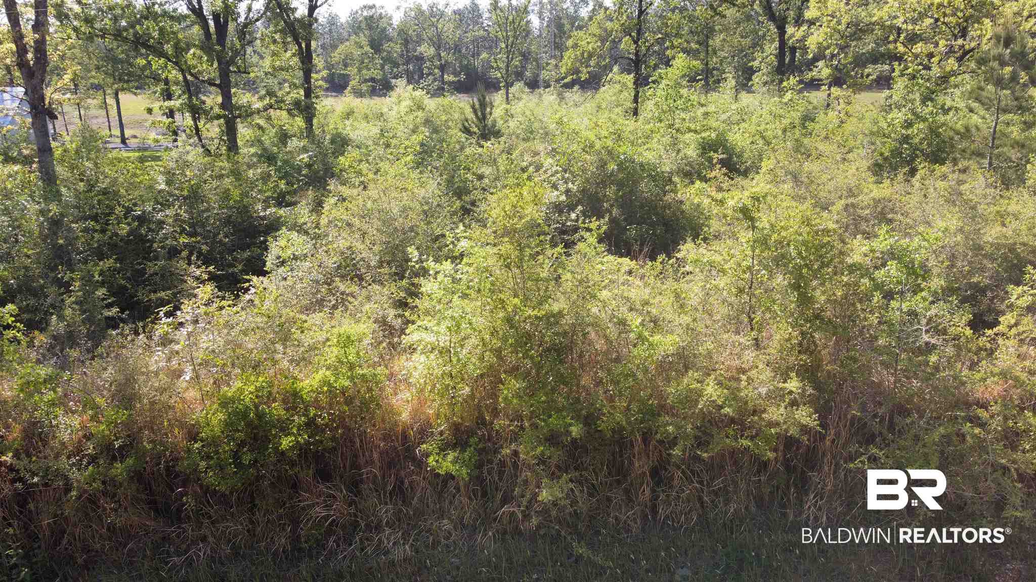 11835 Maddox Road Chunchula, AL 36521 - Photo 3 of 3