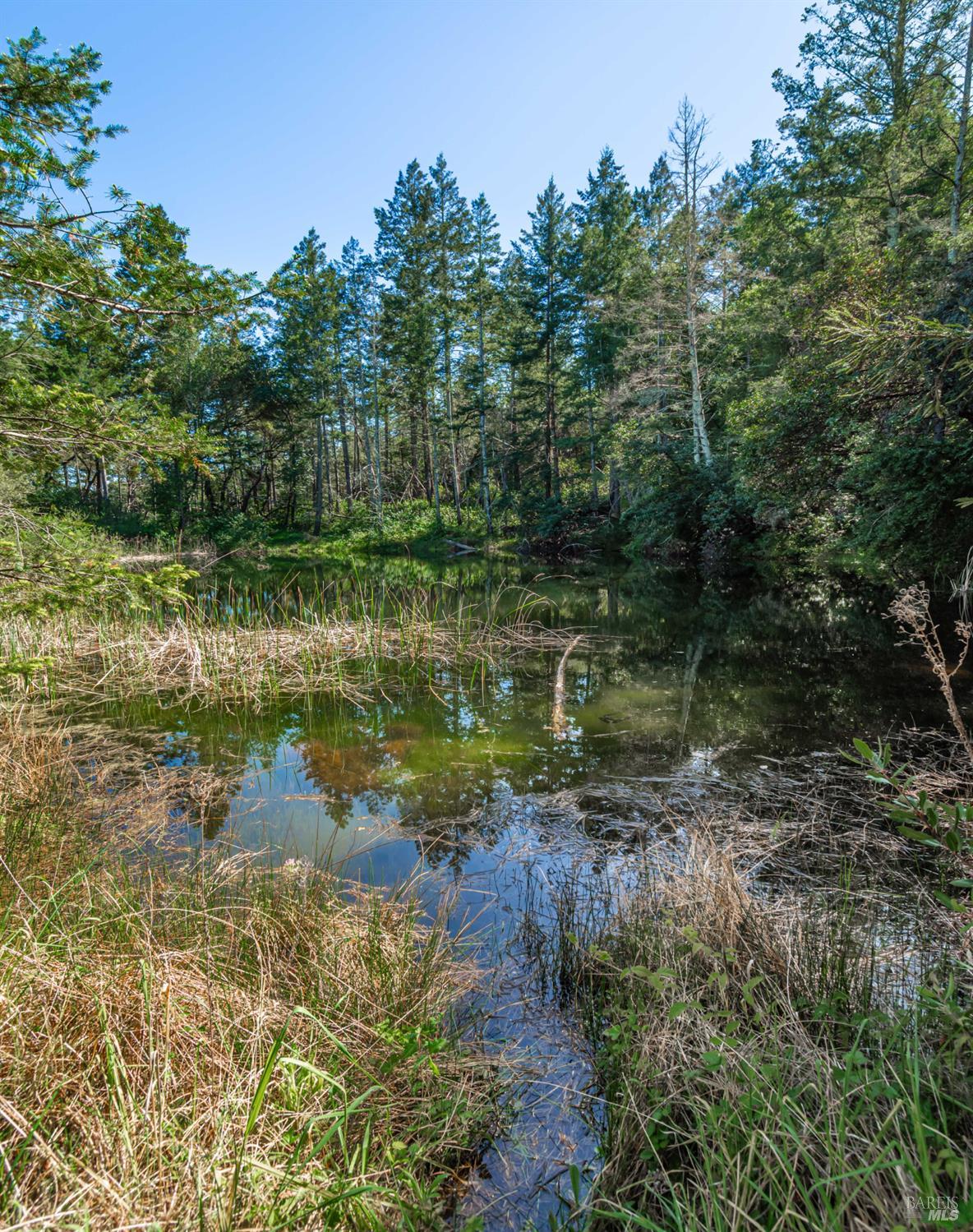 0 Dry Creek Road Napa, CA 94558 - Photo 57 of 98