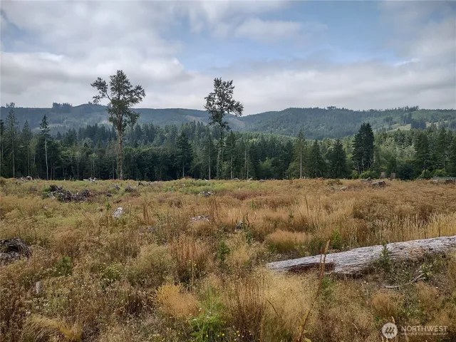 $300,000 | 0 Summit Lake Road Northwest, Olympia, WA 98502