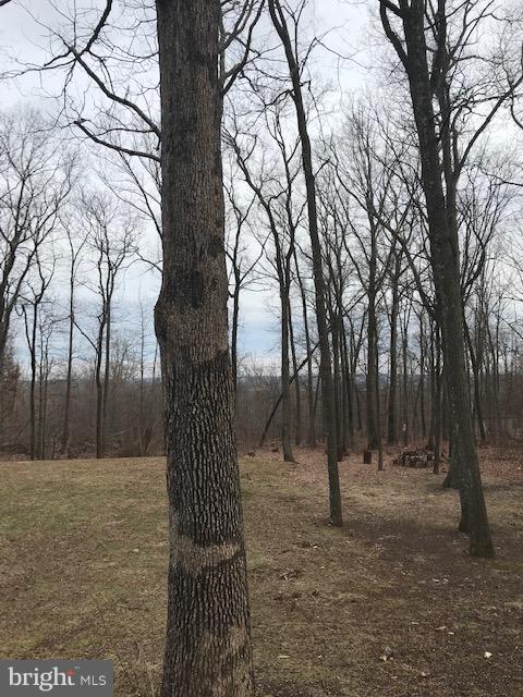 2315 Ridge Road Perkasie, PA 18944 - Photo 11 of 13 Rear View