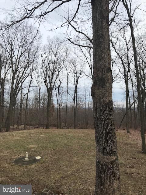 2315 Ridge Road Perkasie, PA 18944 - Photo 12 of 13 Rear View