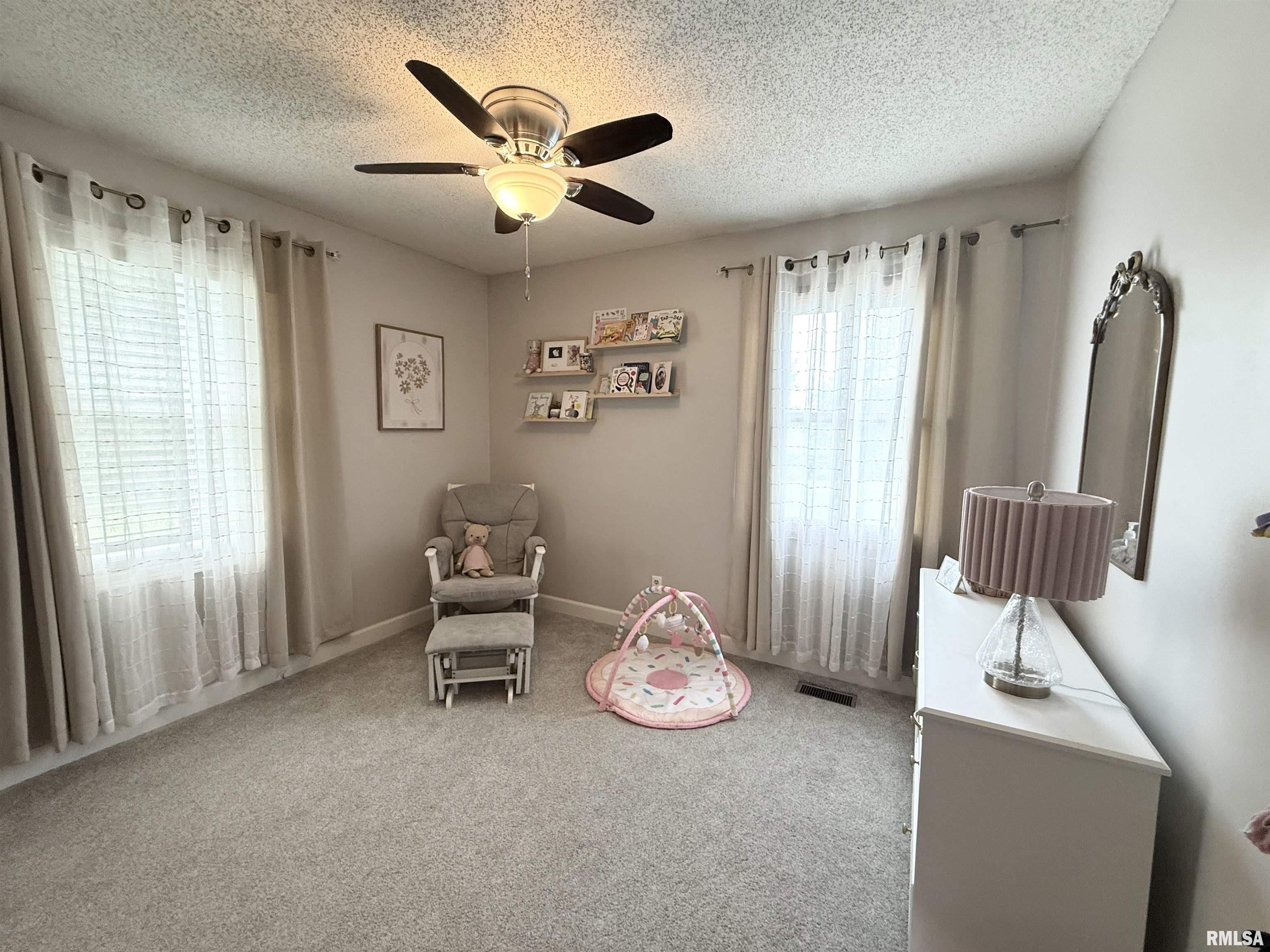 107 Jenkins Road Murphysboro, IL 62966 - Photo 17 of 23