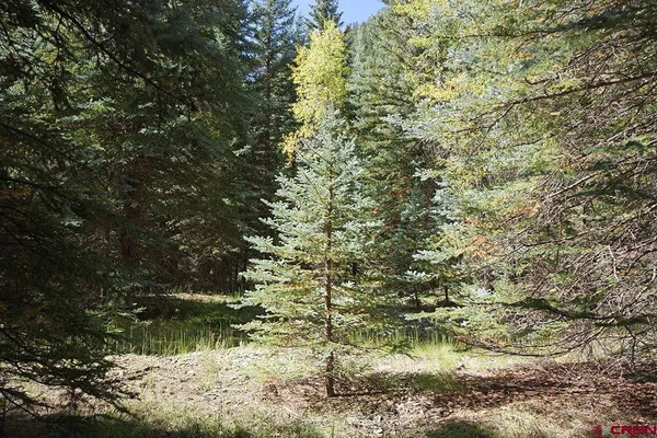 a view of a backyard of a house