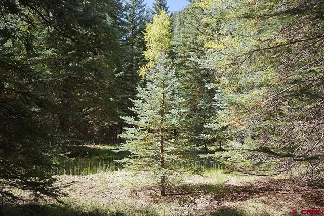 a view of a backyard of a house